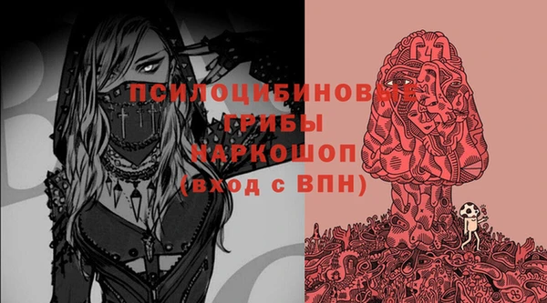 соль ск Аркадак